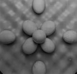 20250626_195130