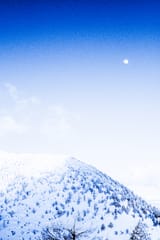 _DSF0775
