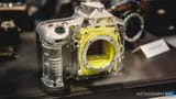 Nikon-D750-2