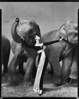 Richard Avedon