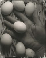 Image 1 (2)