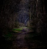 sundowntrail
