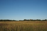 P6090653_40