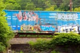 IMG_3483