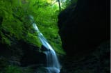 IMG_8687_Original