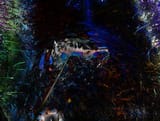 IMG_20250630_135416 e s