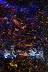 IMG_20250630_135426 e1 c1 s