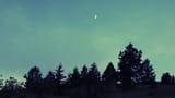 GR000091