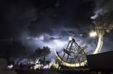 8324 Carnival