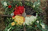 scan0004
