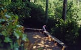 scan0016_02