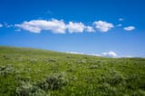 _DSC1862-1