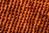 should learn focus stack