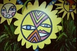sunflower faces