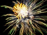 IMG_8292