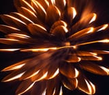 IMG_8284
