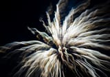 IMG_8281