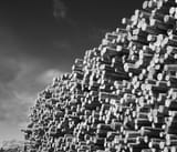 Thread 4443511 OP Image