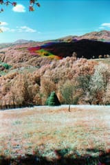 triir_3