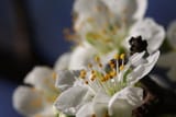 IMG_0028