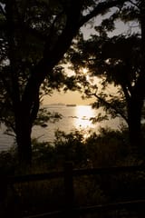 IMG_1670