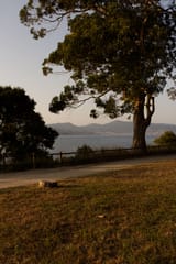 IMG_1684