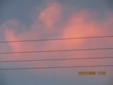 IMG_0791