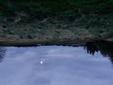 [001614]