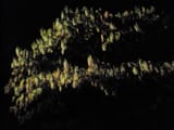 DSC03097