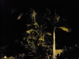 DSC03153