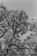 _DSC4128-positive