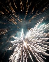 IMG_8318