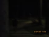 IMG_0806