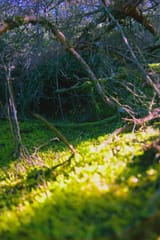 IMG_20250605_230526