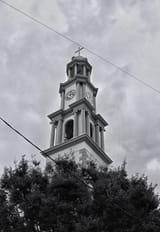 ZF0_2709