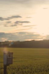 IMG_4485