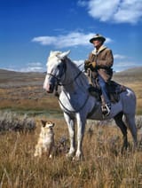 koda (73)