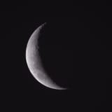 IMG_8288_v1