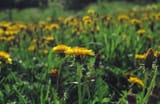IMG754-resize