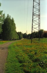 IMG755-resize