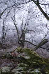 DSCF1840