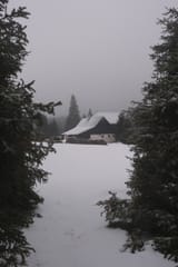 DSCF1630