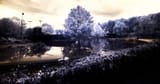 8961 Vellodrome Flood