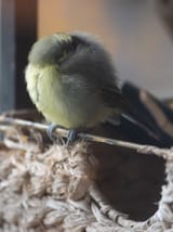 DSC07700