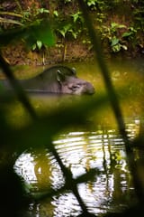 IMG_8359