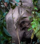 IMG_8361