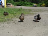 IMG_20250621_161034980