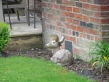 IMG_20250620_165316702