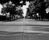DSC_6995 (2048)