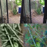 how-phone-cameras-pack-100-mp-in-such-ridiculously-sized-v0-6pcbenivnrpd1
